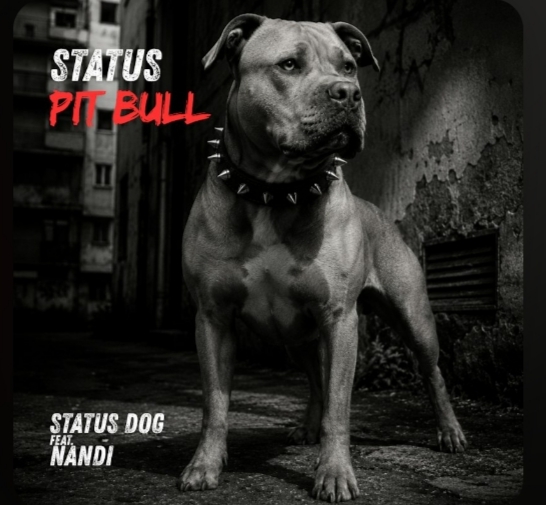 Cover Status Dog - Status Pitbull feat Nandi